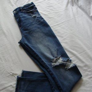 AMERICAN EAGLE Medium Wash DISTRESSED "CURVY Super HI-RISE JEGGING" Jeans Sz 2